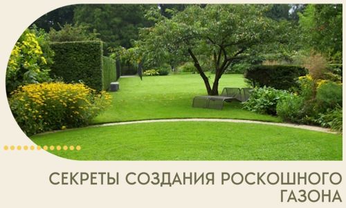 Секреты создания роскошного газона в Дюртюли