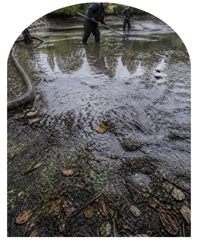 Очистка пруда в Дюртюли от ила мусора и водорослей с вывозом